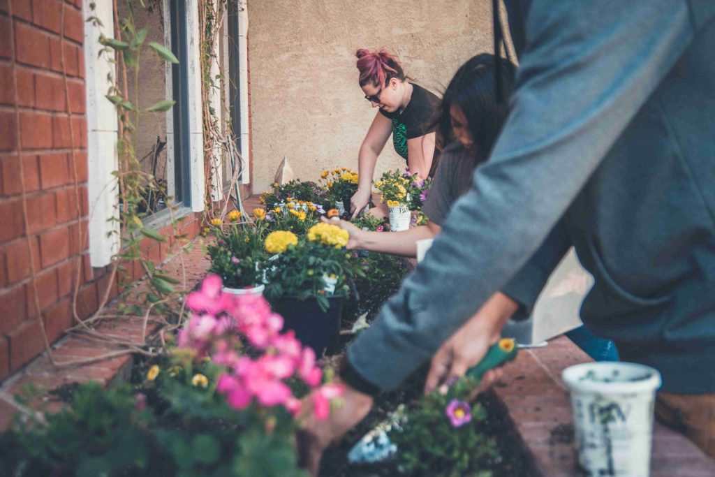 a photo of people gardening